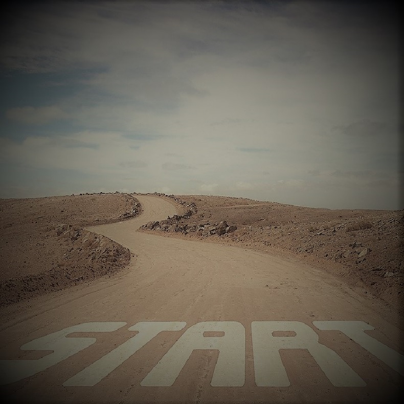 REPRE 2021 | APPOITMENT DECLARATION